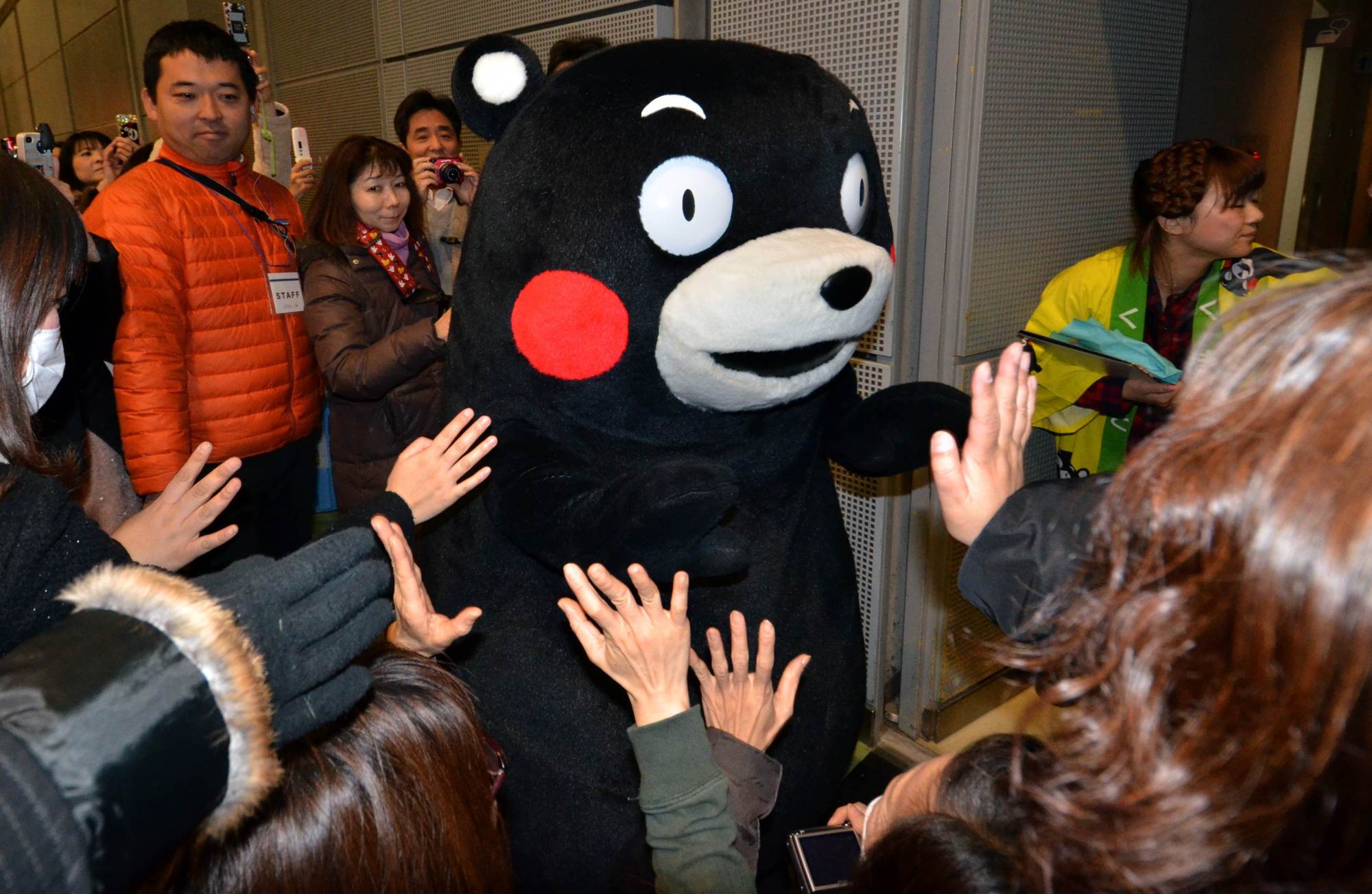 kumamon kumamon